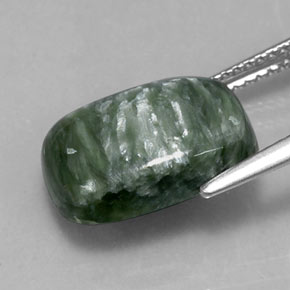 Séraphinite vert naturelle coupe coussin, 5,72 ct, opaque