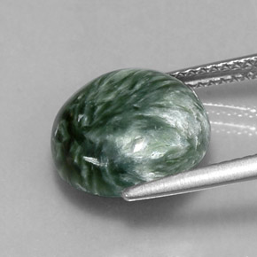 Séraphinite vert naturelle coupe roude, 4,67 ct, opaque