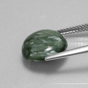 Séraphinite vert naturelle coupe roude, 4,56 ct, opaque