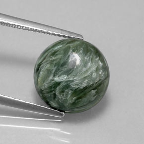 Séraphinite Vert naturelle Coupe roude, 5.11 ct, Opaque