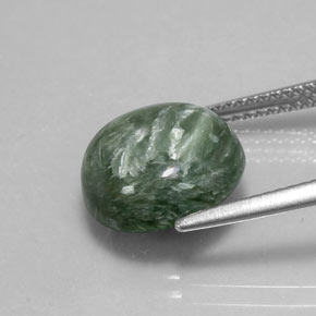 Séraphinite vert naturelle coupe roude, 4,85 ct, opaque