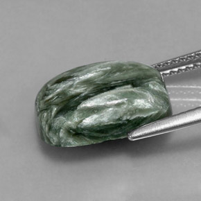 Séraphinite Vert naturelle Coupe coussin, 5.90 ct, Opaque
