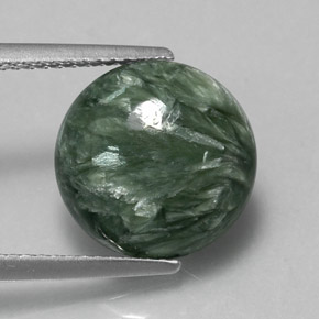 Séraphinite vert naturelle coupe roude, 5,12 ct, opaque