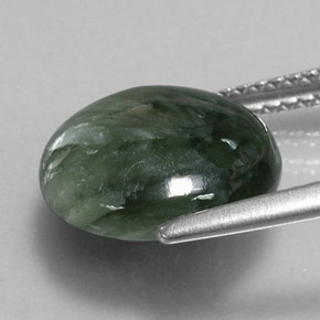 Séraphinite Vert naturelle Coupe roude, 4.60 ct, Opaque