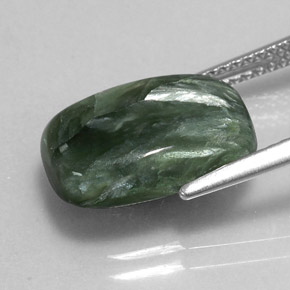 Séraphinite vert naturelle coupe coussin, 5,47 ct, opaque