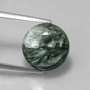 Séraphinite vert naturelle coupe roude, 4,88 ct, opaque
