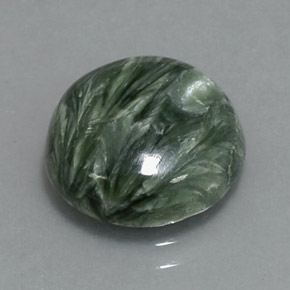 Séraphinite Vert naturelle Coupe roude, 4.27 ct, Opaque