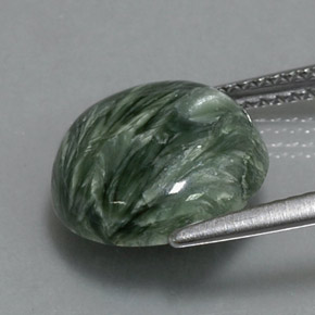 Séraphinite Vert naturelle Coupe roude, 4.27 ct, Opaque