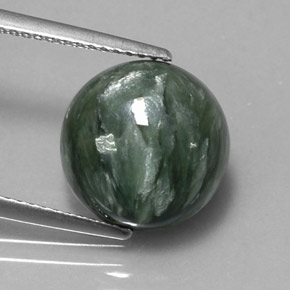 Séraphinite Vert naturelle Coupe roude, 4.95 ct, Opaque