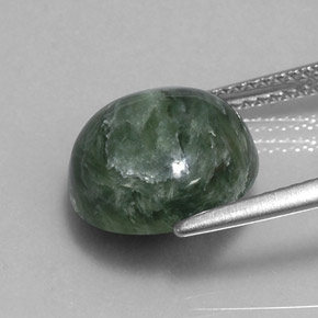 Séraphinite Vert naturelle Coupe roude, 4.95 ct, Opaque