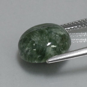 Séraphinite vert naturelle coupe roude, 5,08 ct, opaque