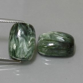 Achetez naturel 14,29ct vert séraphinite gems, coupe coussin, en provenance russie chez gemselect. en stock, livraison internationale!