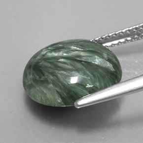 Séraphinite Vert naturelle Coupe roude, 4.66 ct, Opaque