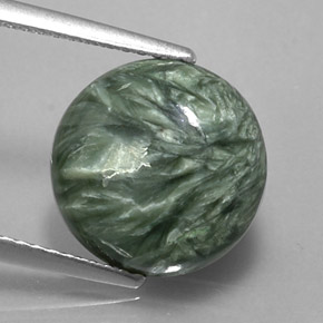 Séraphinite Vert naturelle Coupe roude, 4.56 ct, Opaque