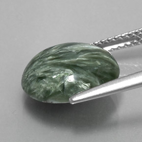 Séraphinite Vert naturelle Coupe roude, 4.56 ct, Opaque