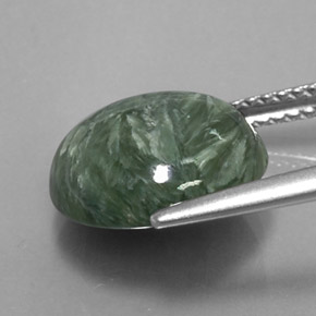 Séraphinite Vert naturelle Coupe roude, 4.84 ct, Opaque