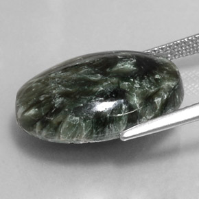 Séraphinite Vert naturelle Coupe ovale, 10.02 ct, Opaque
