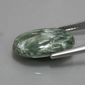 Séraphinite Vert naturelle Coupe ovale, 6.95 ct, Opaque