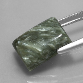 Séraphinite Vert naturelle Baquette, 7.85 ct, Opaque