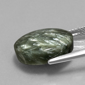 Séraphinite Vert naturelle Coupe ovale, 8.44 ct, Opaque