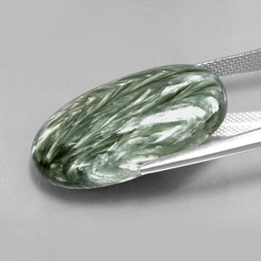 Séraphinite Vert naturelle Coupe ovale, 23.76 ct, Opaque