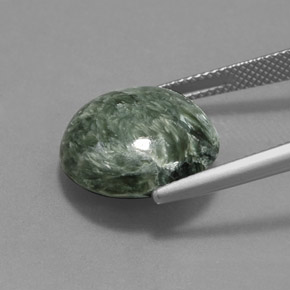 Séraphinite Vert naturelle Coupe roude, 10.67 ct, Opaque