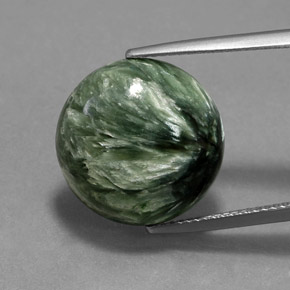Séraphinite Vert naturelle Coupe roude, 10.47 ct, Opaque