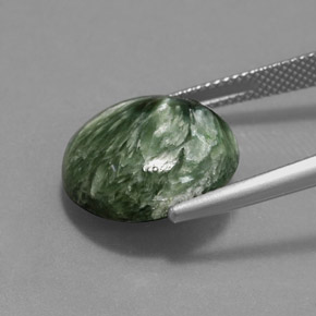 Séraphinite Vert naturelle Coupe roude, 10.47 ct, Opaque