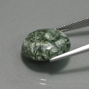 Séraphinite vert naturelle coupe roude, 9,92 ct, opaque