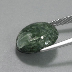 Séraphinite vert naturelle coupe roude, 10,49 ct, opaque