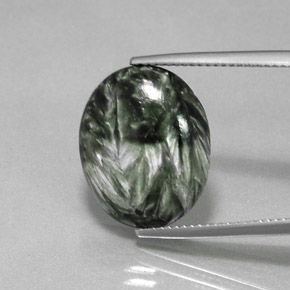 Séraphinite Vert naturelle Coupe ovale, 8.68 ct, Opaque