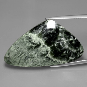 Séraphinite Vert naturelle Forme fantaisie, 30.91 ct, Opaque