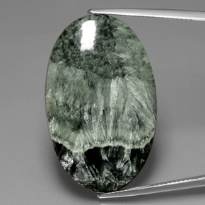 Séraphinite Vert naturelle Coupe ovale, 30.14 ct, Opaque