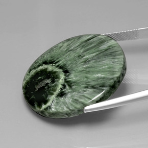 Séraphinite vert naturelle coupe roude, 35,83 ct, opaque