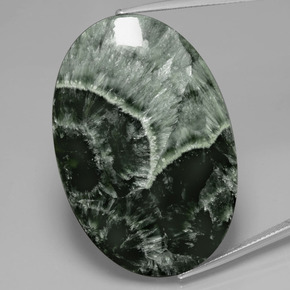 Séraphinite Vert naturelle Coupe ovale, 45.44 ct, Opaque