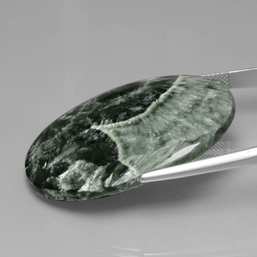 Séraphinite Vert naturelle Coupe ovale, 45.44 ct, Opaque