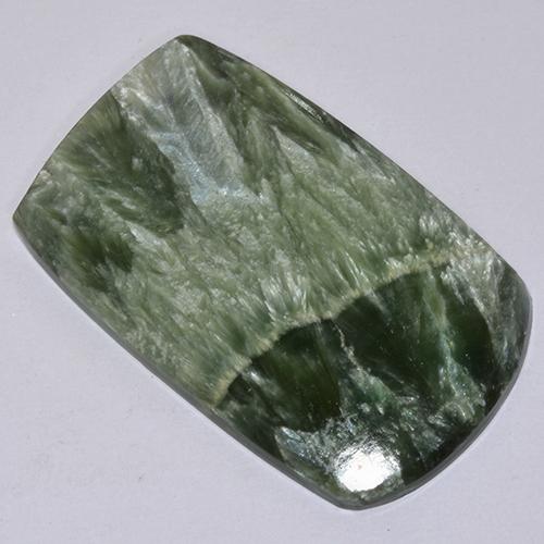 Séraphinite Vert naturelle Forme fantaisie, 19.28 ct, Opaque