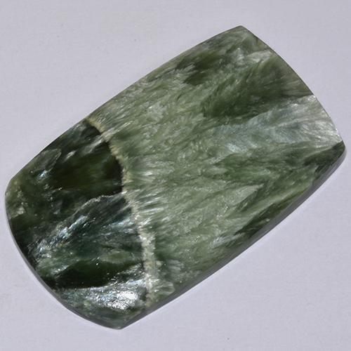 Séraphinite Vert naturelle Forme fantaisie, 19.28 ct, Opaque