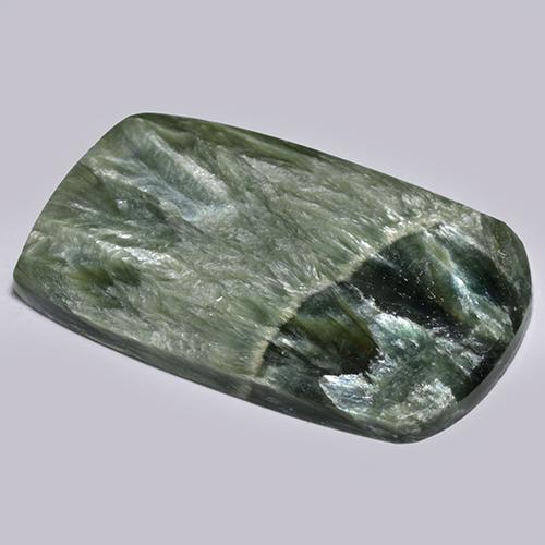 Séraphinite Vert naturelle Forme fantaisie, 19.28 ct, Opaque