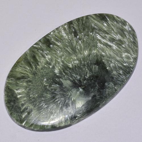 Séraphinite Vert multicolore naturelle Coupe ovale, 19.69 ct, Opaque