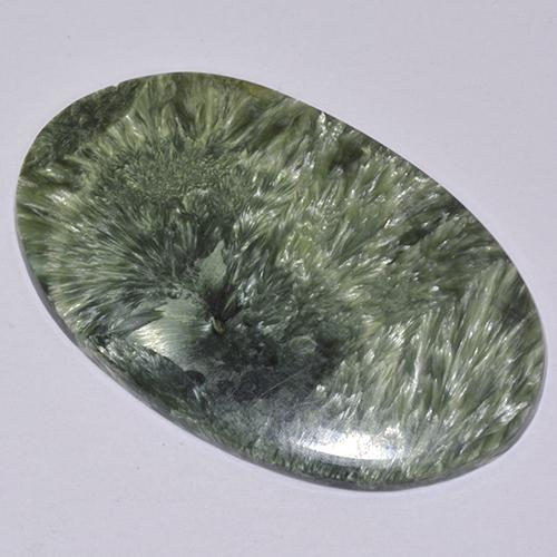 Séraphinite Vert multicolore naturelle Coupe ovale, 19.69 ct, Opaque