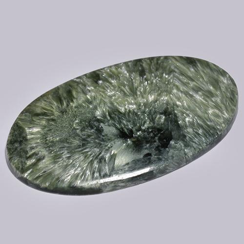 Séraphinite Vert multicolore naturelle Coupe ovale, 19.69 ct, Opaque