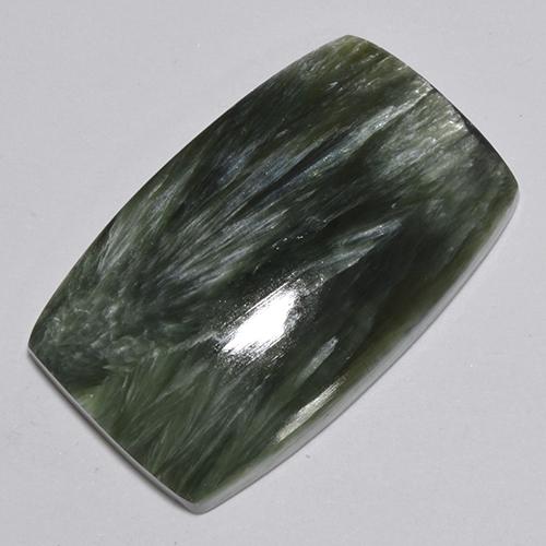 Séraphinite Vert foncé naturelle Coupe coussin, 30.56 ct, Opaque