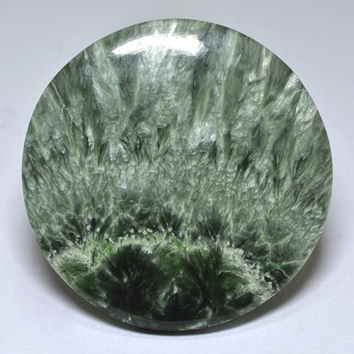 Séraphinite vert naturelle coupe roude, 32,26 ct, opaque