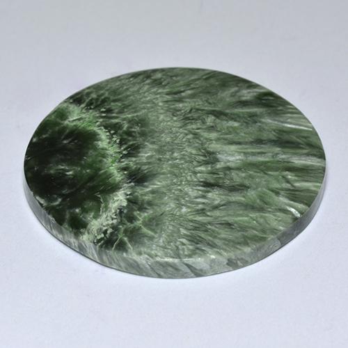 Séraphinite vert naturelle coupe roude, 32,26 ct, opaque