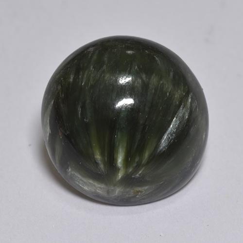 Séraphinite Vert foncé naturelle Coupe roude, 2.93 ct, Opaque