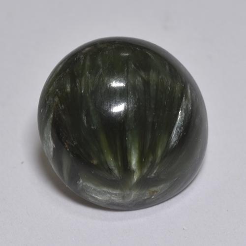 Séraphinite Vert foncé naturelle Coupe roude, 2.93 ct, Opaque