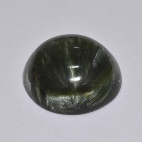 Séraphinite Vert foncé naturelle Coupe roude, 2.93 ct, Opaque