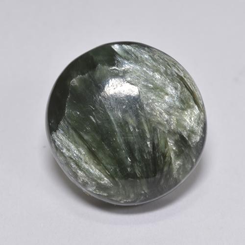 Séraphinite Vert naturelle Coupe roude, 4.10 ct, Opaque
