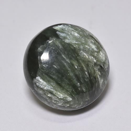 Séraphinite Vert naturelle Coupe roude, 4.10 ct, Opaque